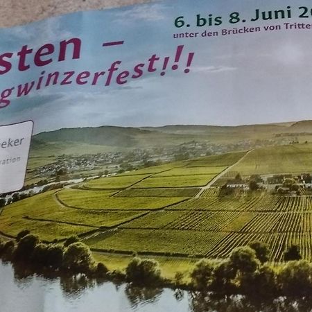 Ferienwohnung Bergblick Trittenheim Eksteriør billede