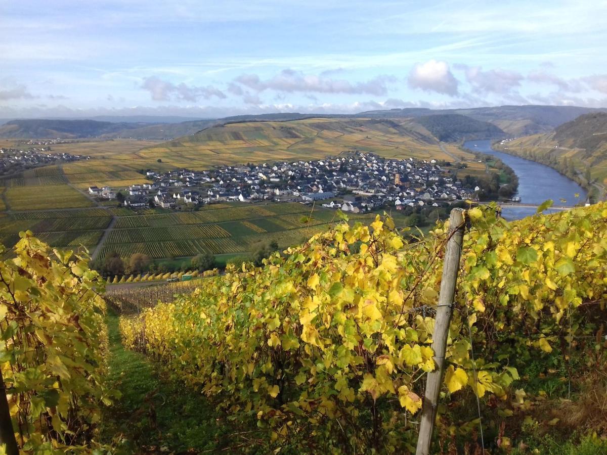 Ferienwohnung Bergblick Trittenheim Eksteriør billede