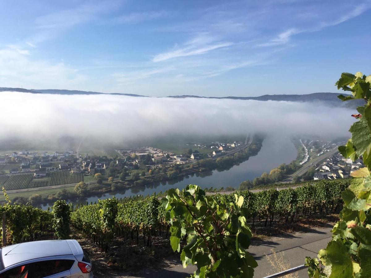 Ferienwohnung Bergblick Trittenheim Eksteriør billede