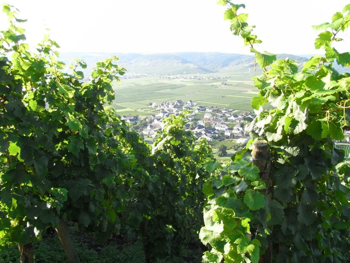 Ferienwohnung Bergblick Trittenheim Eksteriør billede