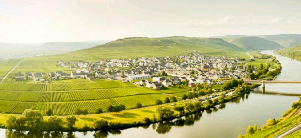 Ferienwohnung Bergblick Trittenheim Eksteriør billede
